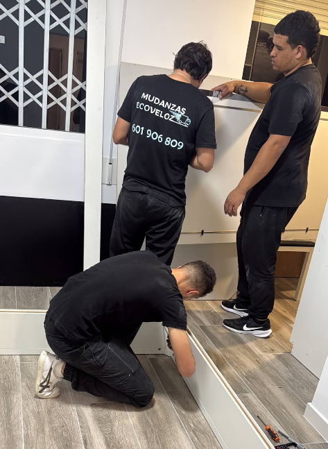 Servicio de mudanzas locales en San Juan Playa